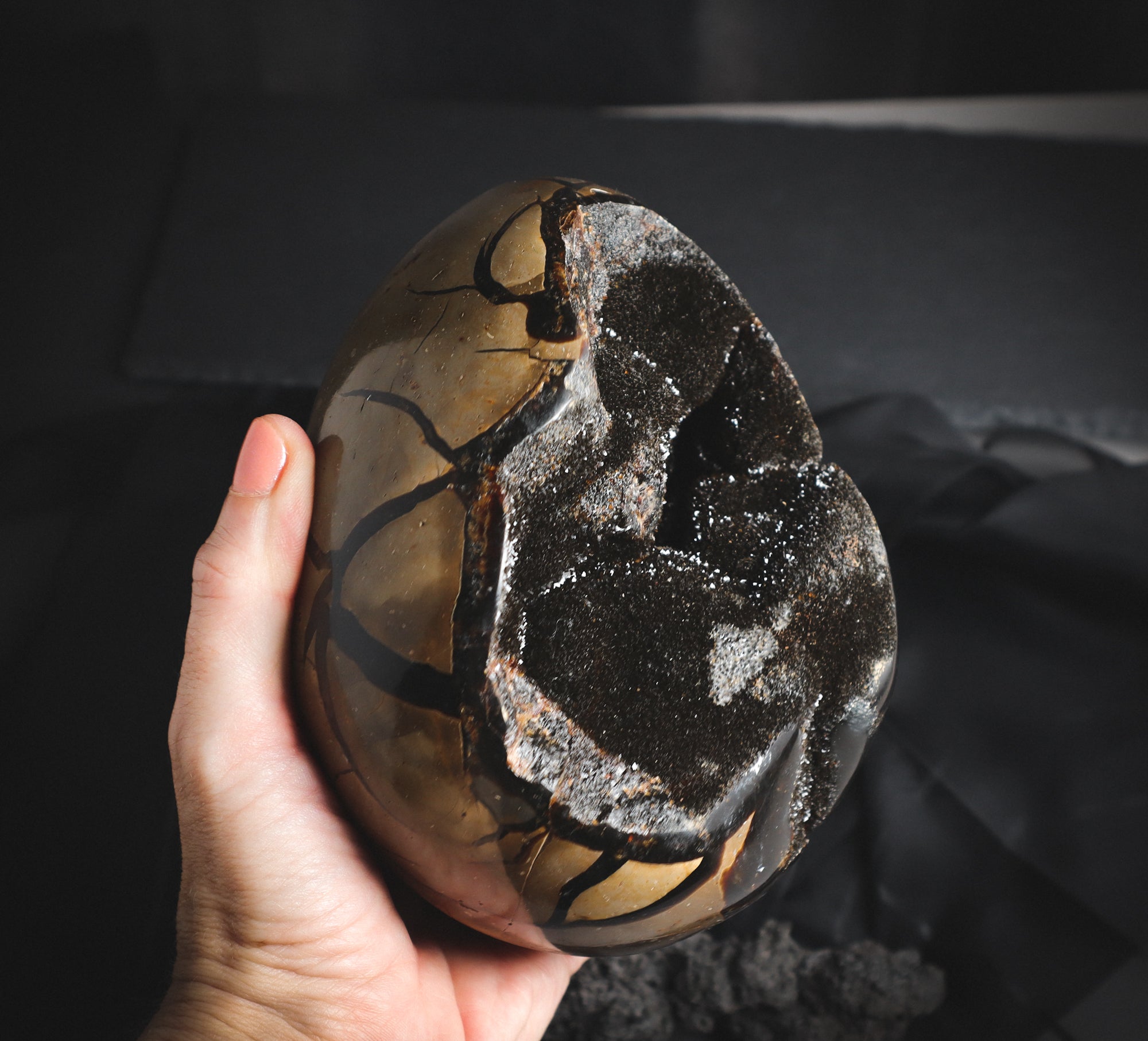 Septarian egg in a hand for comparison.