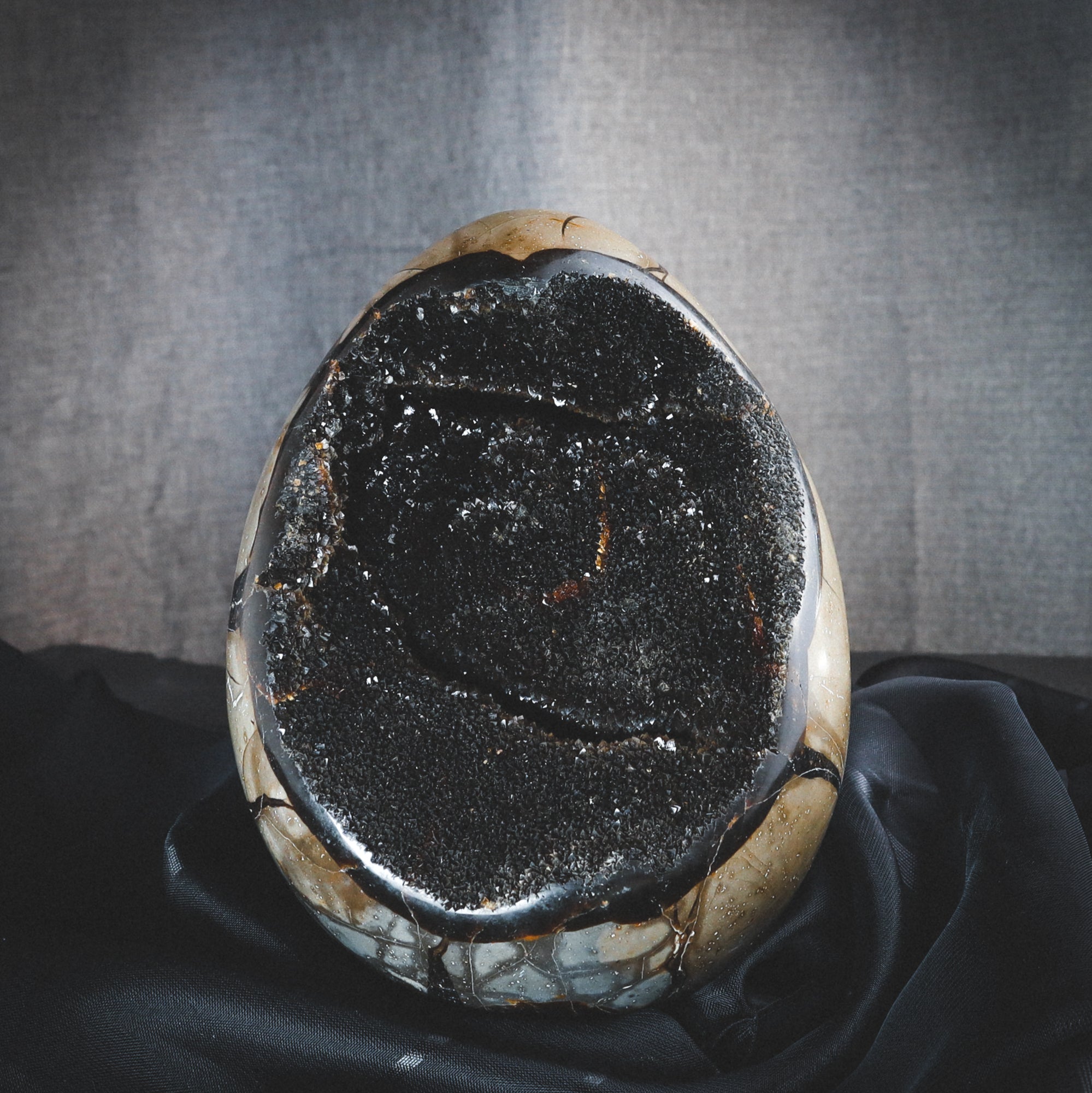 The inside of the septarian egg.