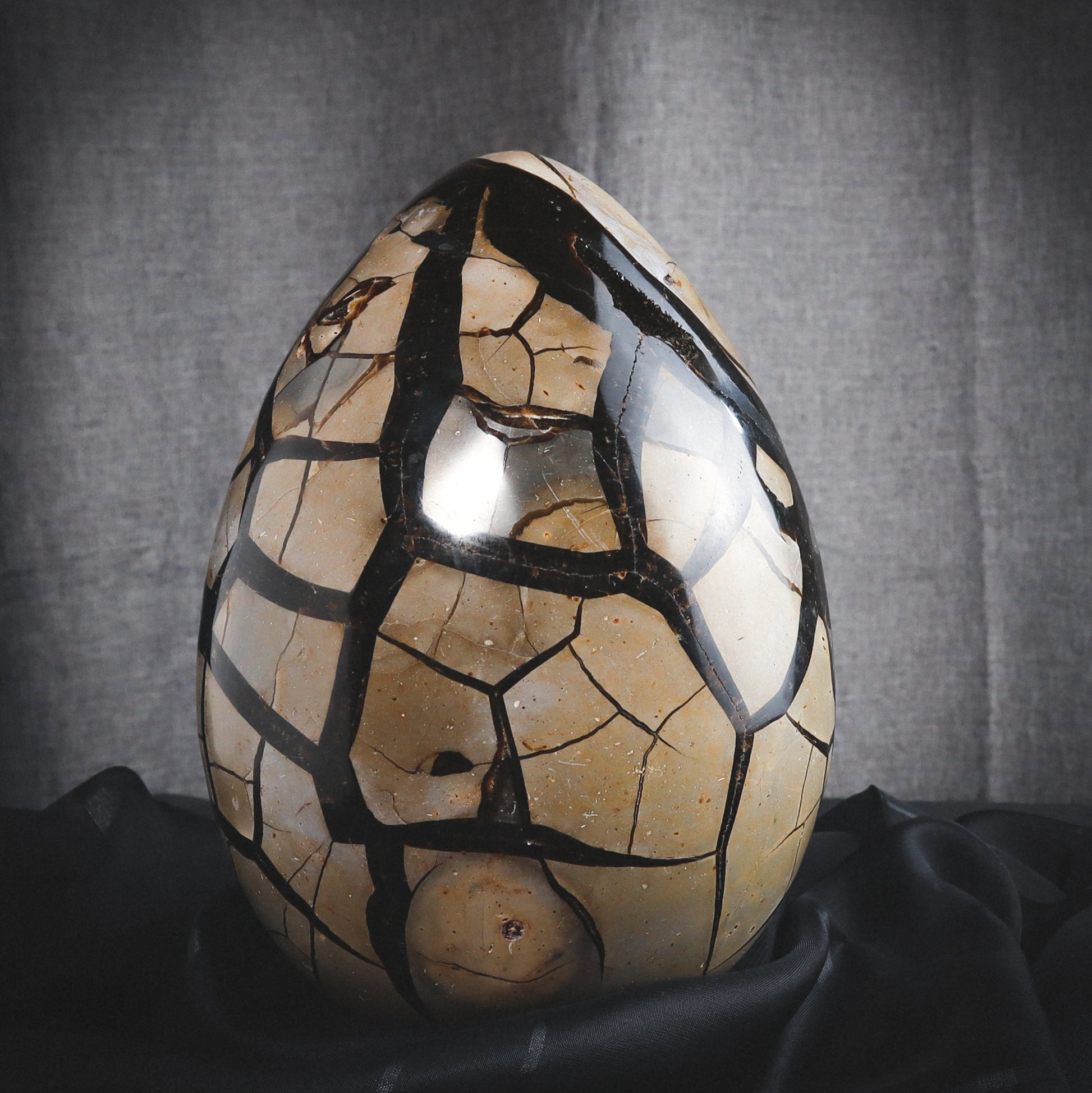 Septarian egg with a beautiful pattern.