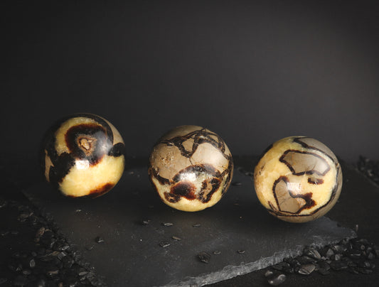 Septarian balls.