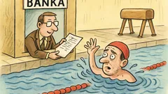 Vic: Opis disciplin olimpijade za dolžnike